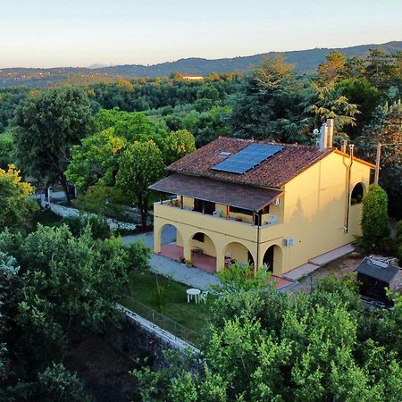 B&B Terre Toscane 시기아노 외부 사진