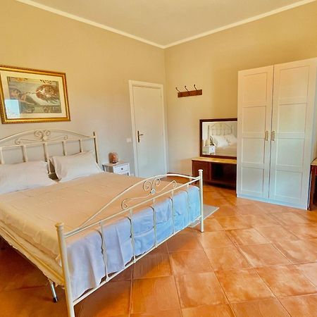 B&B Terre Toscane 시기아노 외부 사진