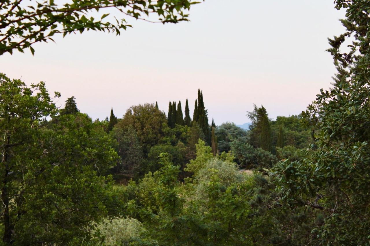 B&B Terre Toscane 시기아노 외부 사진