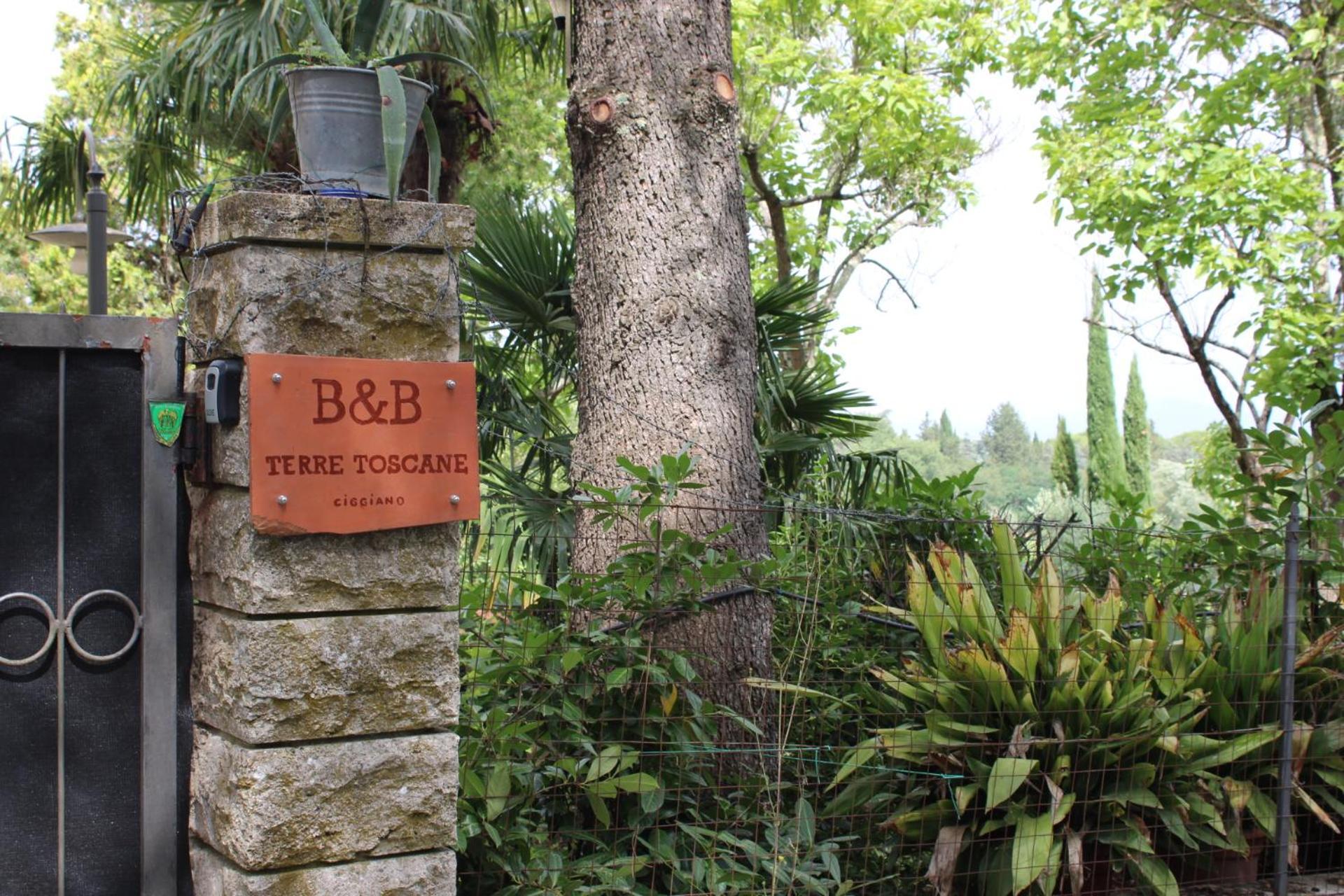B&B Terre Toscane 시기아노 외부 사진