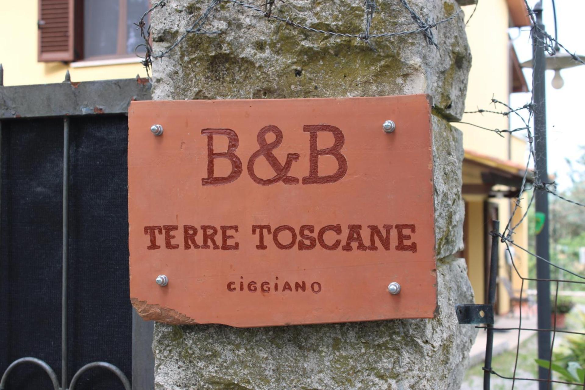 B&B Terre Toscane 시기아노 외부 사진